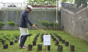 HUT KE - 77 JABAR Disalurkan, Puluhan Ribu Bibit Cabai dan Bawang Merah