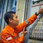 Jelang KTT G20, PLN Pamerkan 2 PLTS dan 33 PV Rooftop di Bali