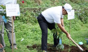 PLN Peduli Serahkan 3.000 Pohon di Hari Menanam Pohon Indonesia