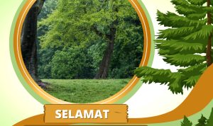 6 Twibbon Peringatan Menanam Pohon Indonesia, Cek Disini!