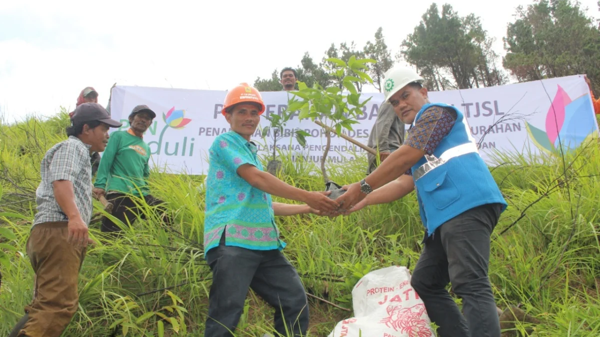 Transformasi Hijau Di Tubuh PLN