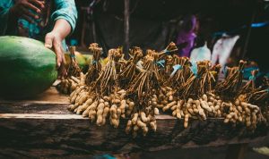 Manfaat Kacang Tanah Untuk Kesehatan dan Cara Mengolahnya