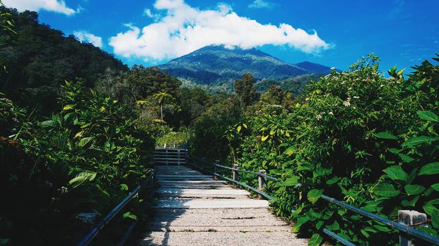 Inilah yang harus di perhatikan saat naik gunung gede pangrango di musim hujan