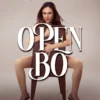 Sinopsis Film Open BO Wulan Guritno