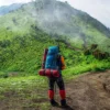 Hobi mendaki gunung kembali ngehits dikalangan muda mudi. (pixabay)