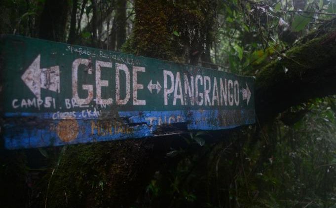 Hal mistis Gunung Gede Pangrango merupakan satu dari sekian banyak lokasi pendakian di Pulau Jawa yang digemari para pendaki. Terletak di kawasan Taman Nasional Gede Pangrango