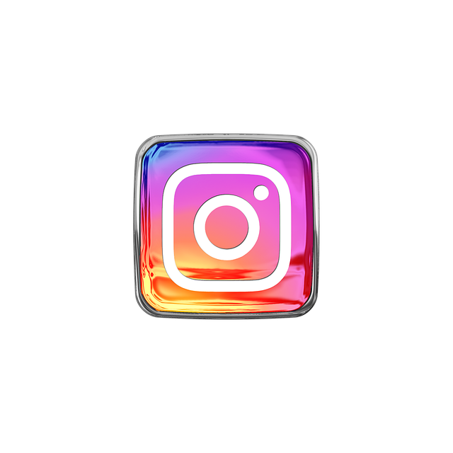 Download Video Instagram Private