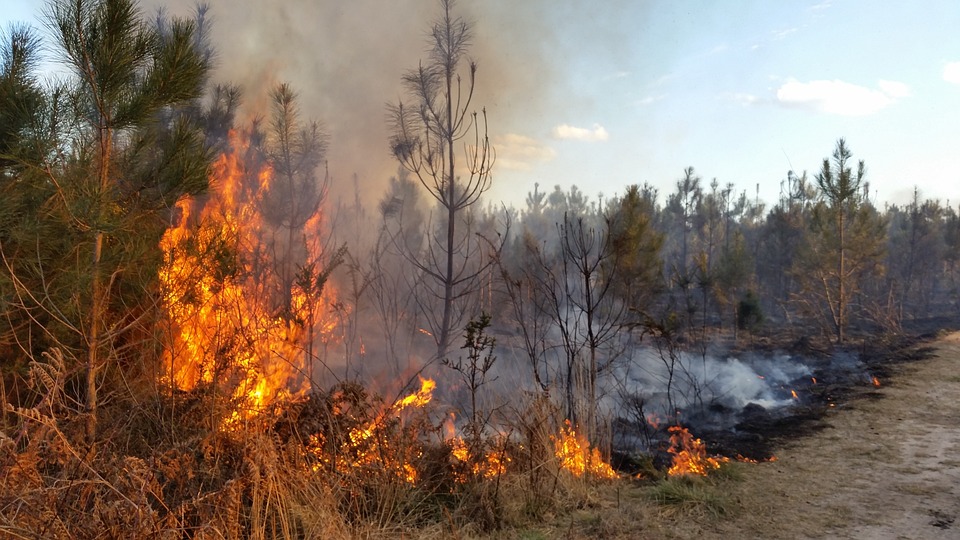 Kemarau dan kekeringan panjang dapat menyebabkan munculnya titik api. Selain itu, tak sedikit pula kebakaran hutan akibat ulah manusia untuk tujuan alih fungsi lahan.Kebakaran hutan memberi banyak kerugian bagi masyarakat terutama petani hutan