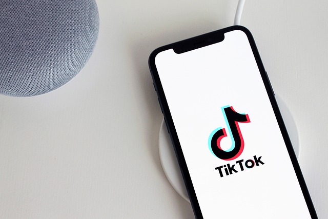 Kreator Wajib Tahu, Begini Cara Download Sound Tiktok Mp3 (ilustrasi TikTok/pixabay)