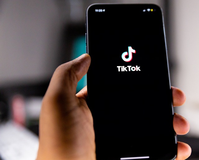 Cara Download Sound Viral TikTok ke WA