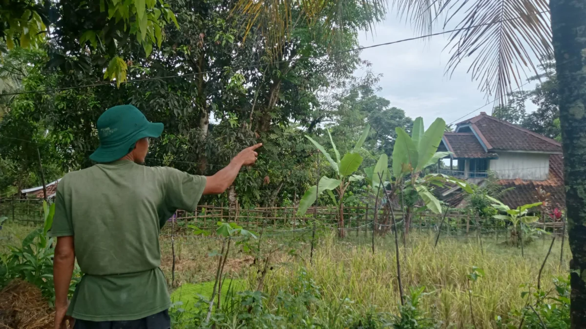 Angin Kencang Hantui Warga di Kaki Gunung Gede Pangrango.