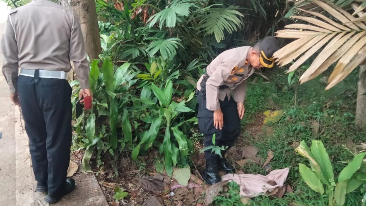 Polisi menyusur lokasi Juragan Rongsok Temukan Bom Ranjau Aktif. (zan)