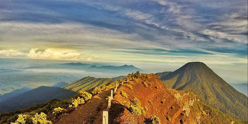 Pelaku Bom Asap Gunung Pangrango Teridentifikasi. (net)