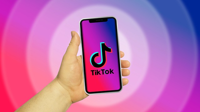 Menyimpan Vidio TikTok Tanpa Watermark