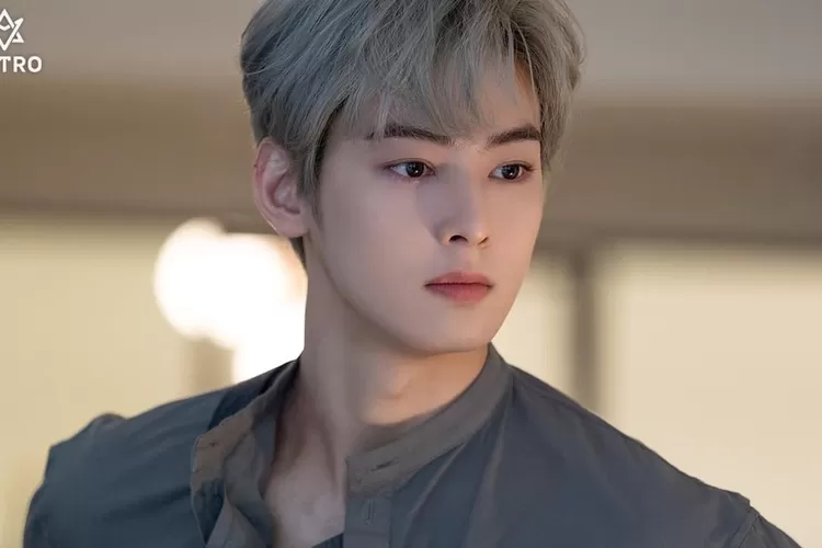 Ini Alasan Cha Eun Woo Tolak Tawaran Drama Korea Bulk!