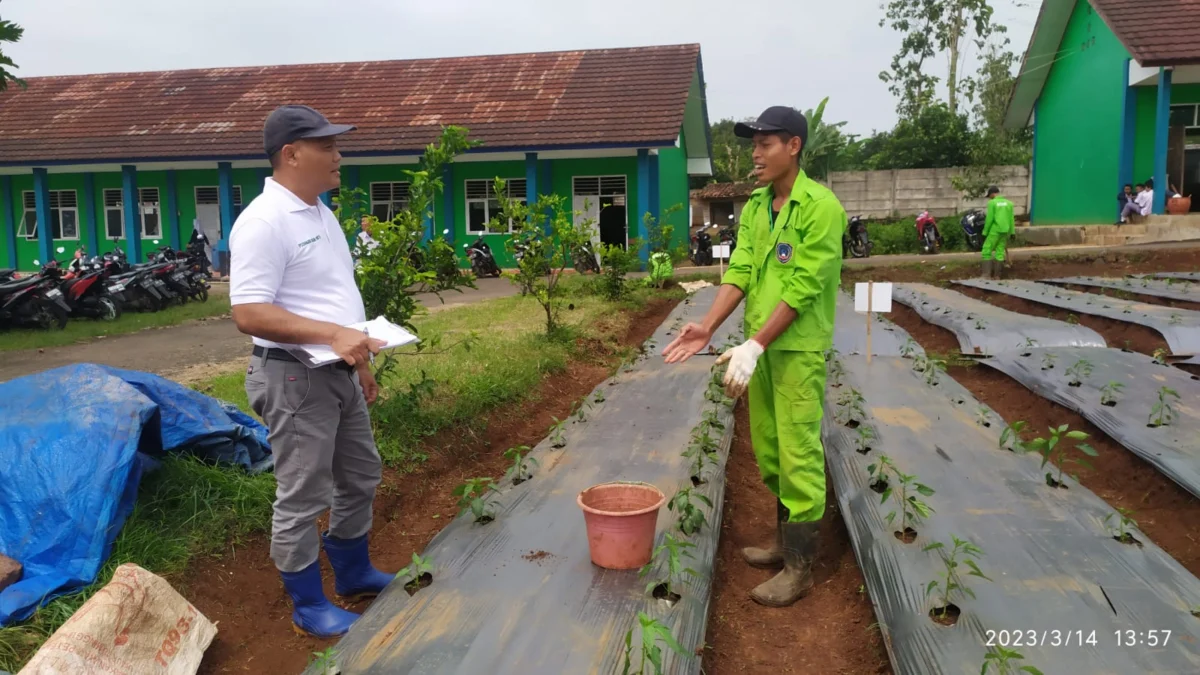 PT CSM Jadi Asesor Uji Kompetensi Keahlian ATPH Siswa SMKN 1 Karangtengah