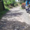 Jalan Penghubung 2 Kecamatan di Cianjur Rusak Parah. (dik)