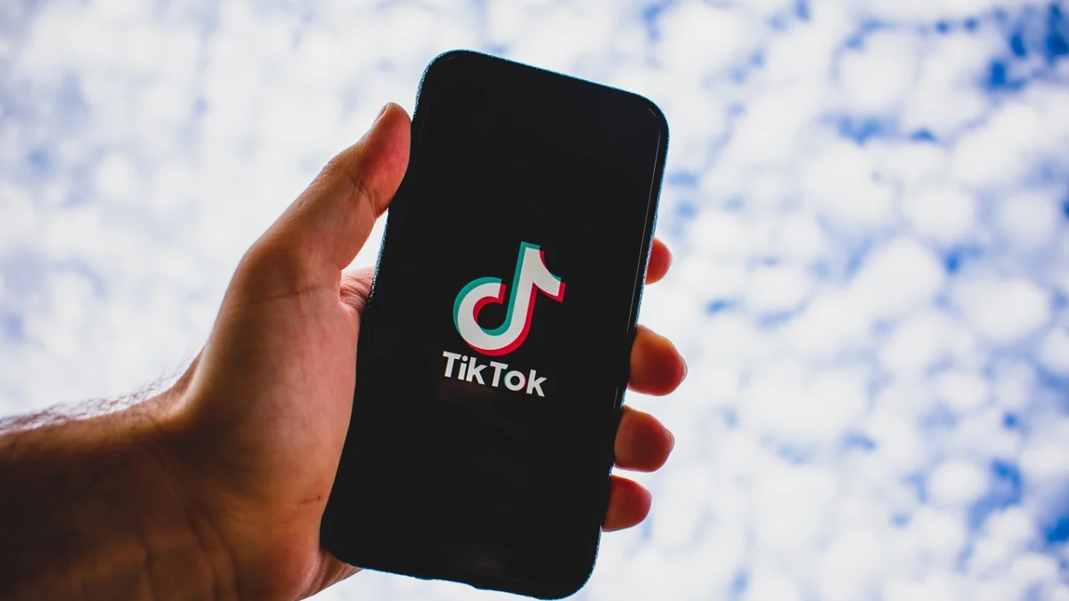 Cara Download Video TikTok Resolusi HD Tanpa Watermark. (pixabay)