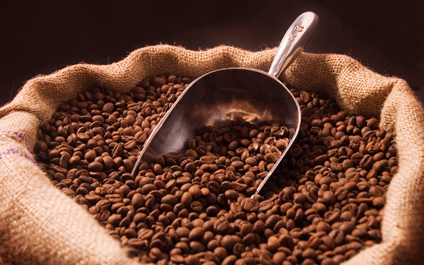 3 Jenis Biji Kopi Yang Harus Kamu Tau!