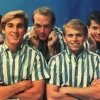 Lirik Fun Fun Fun The Beach Boys