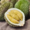 Wow Ramen Unik Malaysia Terbuat Dari Durian, Mau Coba?