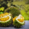 7 Alasan Kenapa Sebagian Orang Bisa Benci Buah Durian!