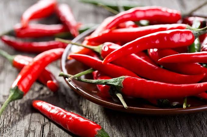 Tips Menyimpan Cabai Dirumah Agar Tidak Busuk