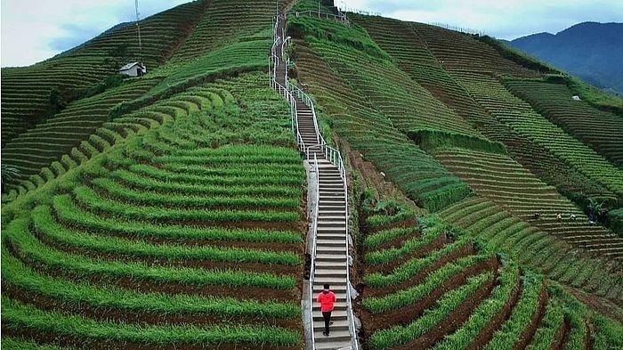 Rekomendasi Wisata Alam Majalenka Terhits Yang Wajib di Kunjungi