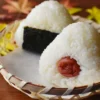 Menu Sarapan Resep Membuat Onigiri Cocok Nih Buat Hunting!