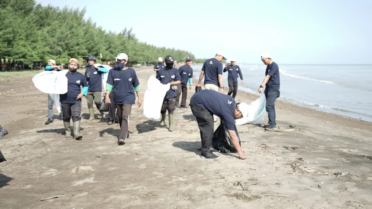 bantuan pohon pln