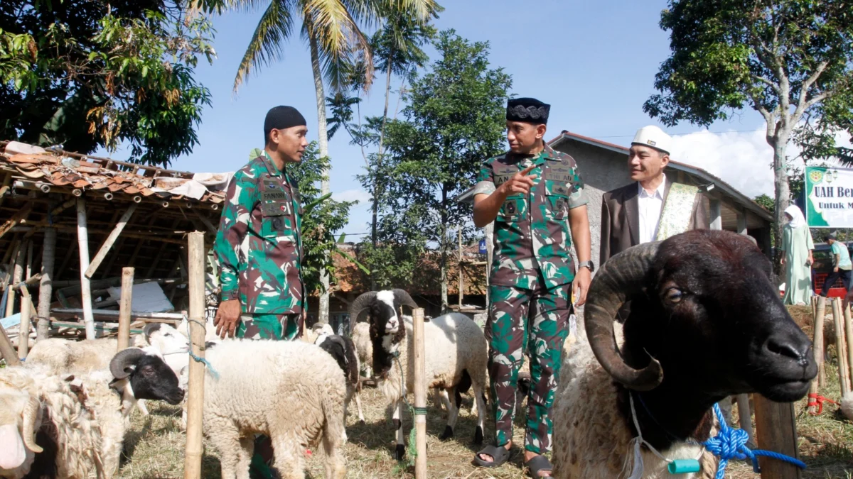 Danrem 061/SK Serahkan 54 ekor Hewan Kurban di Lokasi Gempa Cianjur