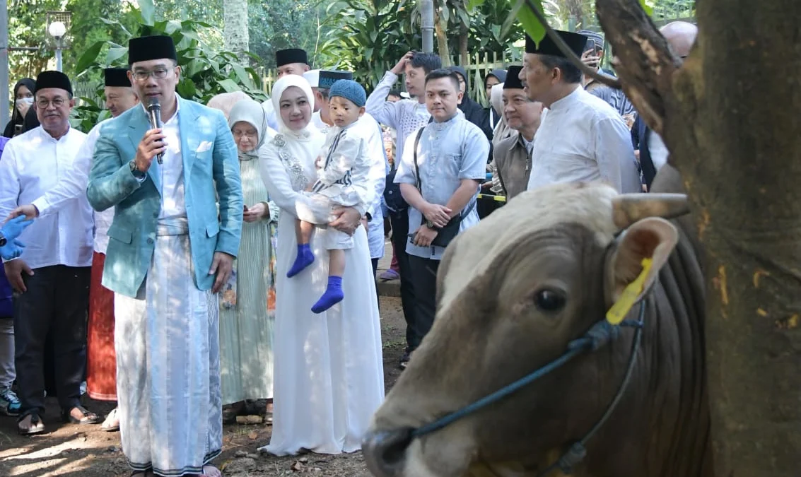 Ridwan Kamil Tinjau Pemotongan Hewan Kurban di Masjid Salman ITB