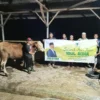 Budhy Setiawan Berkurban, Distribusikan 20 Ekor Sapi ke Cianjur dan Kota Bogor