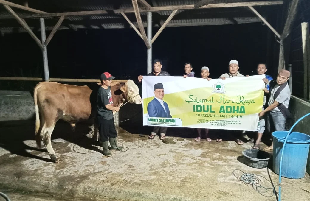 Budhy Setiawan Berkurban, Distribusikan 20 Ekor Sapi ke Cianjur dan Kota Bogor