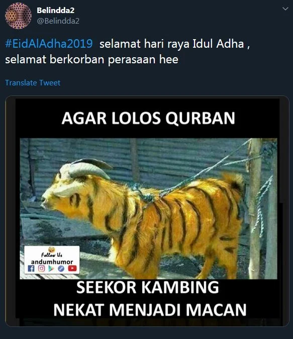 Kata-kata ucapan Idul Adha