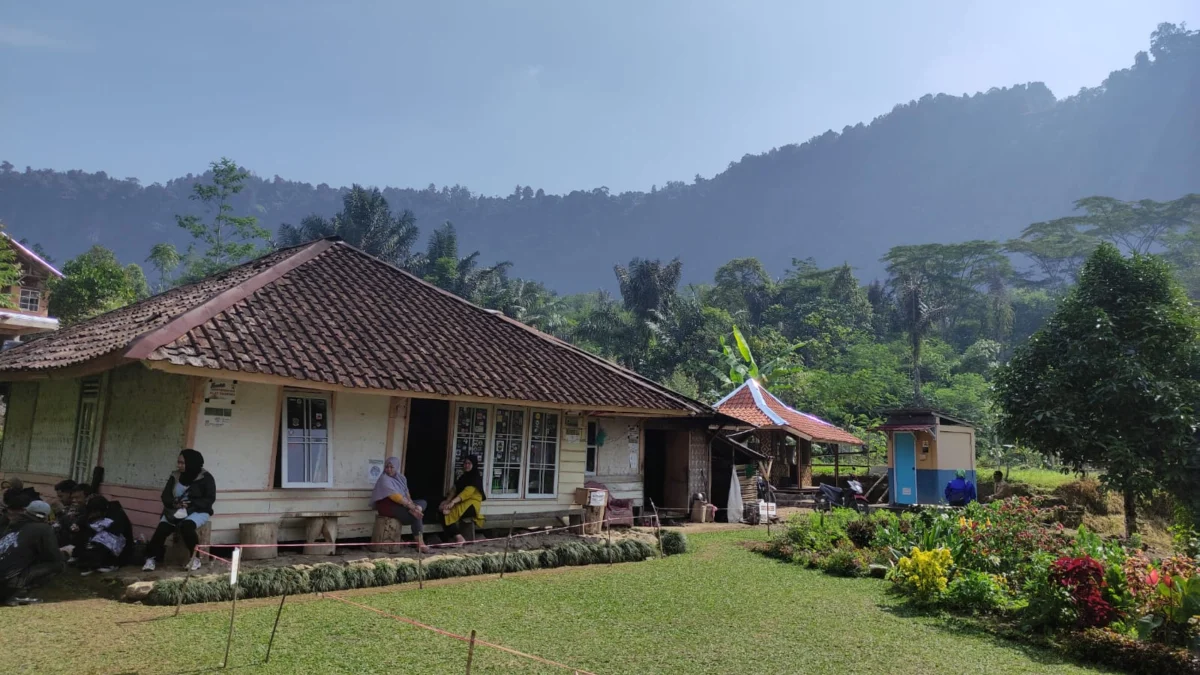 Halaman Rumah Abah Jajang Kembali Hijau