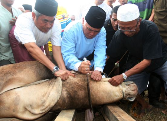 Wajib Tahu! Doa Menyembelih Hewan Kurban pada saat Idul Adha!