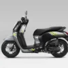 Catat, Jadwal Rilis Motor Honda Scoopy Stylo 125 dan 160