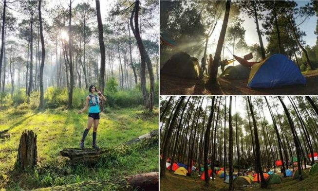 4 Rekomendasi Tempat Hiking di Bandung yang Cocok untuk Pemula!