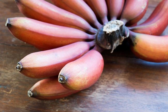 Wajib Tahu! 4 Manfaat Pisang Merah yang Baik untuk Kesehatan