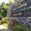 Pendakian gunung gede