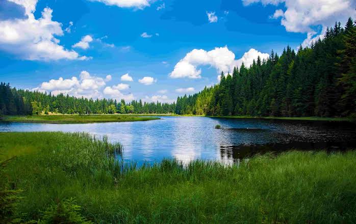 Danau Leuwi Soro Cianjur, Tawarkan Pemandangan Indah Khas Jawa Barat