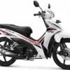 Rekomendasi Motor Bebek Dengan Performa Fitur Unggulan