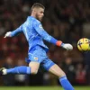 Penghargaan David De Gea