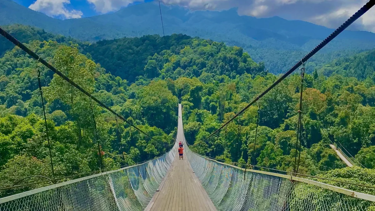 3 Rekomendasi Wisata Alam di Sukabumi, Curug, Pantai hingga Goa