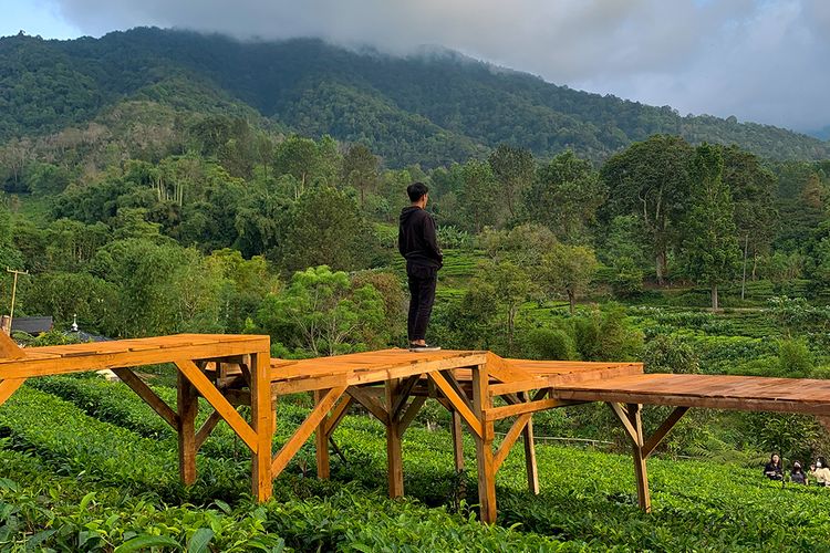 Rekomendasi Tempat Wisata Alam Terbaik di Puncak Bogor