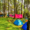 Rekomendasi Tempat Glamping Terpopuler di Bogor yang Wajib Dikunjungi