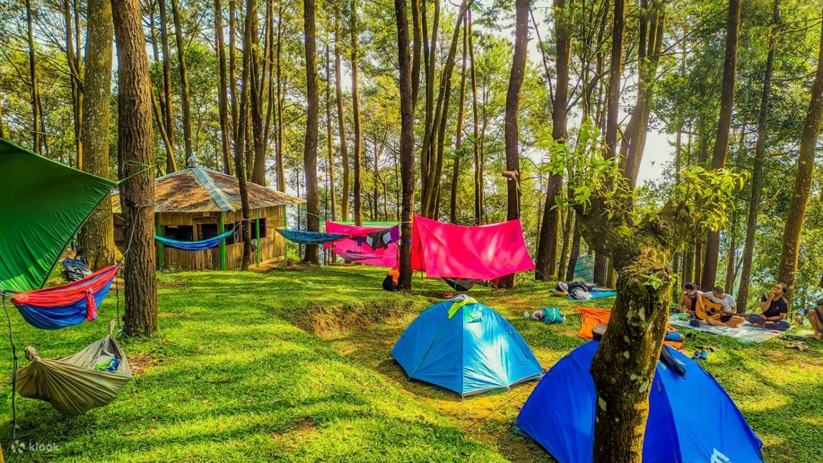 Rekomendasi Tempat Glamping Terpopuler di Bogor yang Wajib Dikunjungi