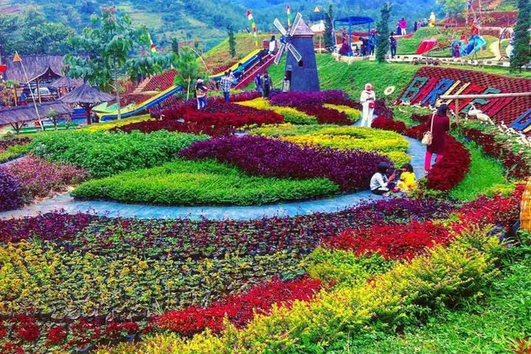 Rekomendasi Wisata Alam dengan pemandangan yang Indah di Ciwidey Bandung Rekomendasi Wisata Alam dengan pemandangan yang Indah di Ciwidey Bandung