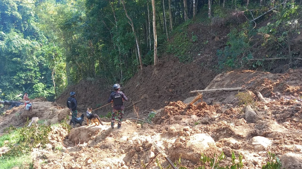 Anjing Pelacak Diterjunkan Cari Petani Tertimbun Longsor